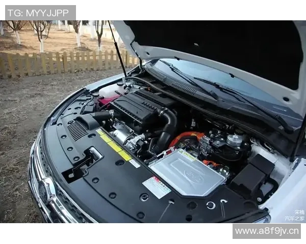 独家解析V5战队实力对比与未来发展潜力分析