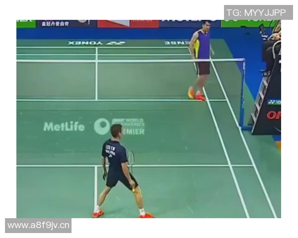 羽毛球深度解析成都羽毛球队的转型与发展之路